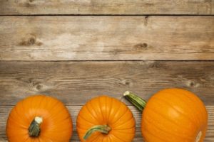 row of orange pumpkins 